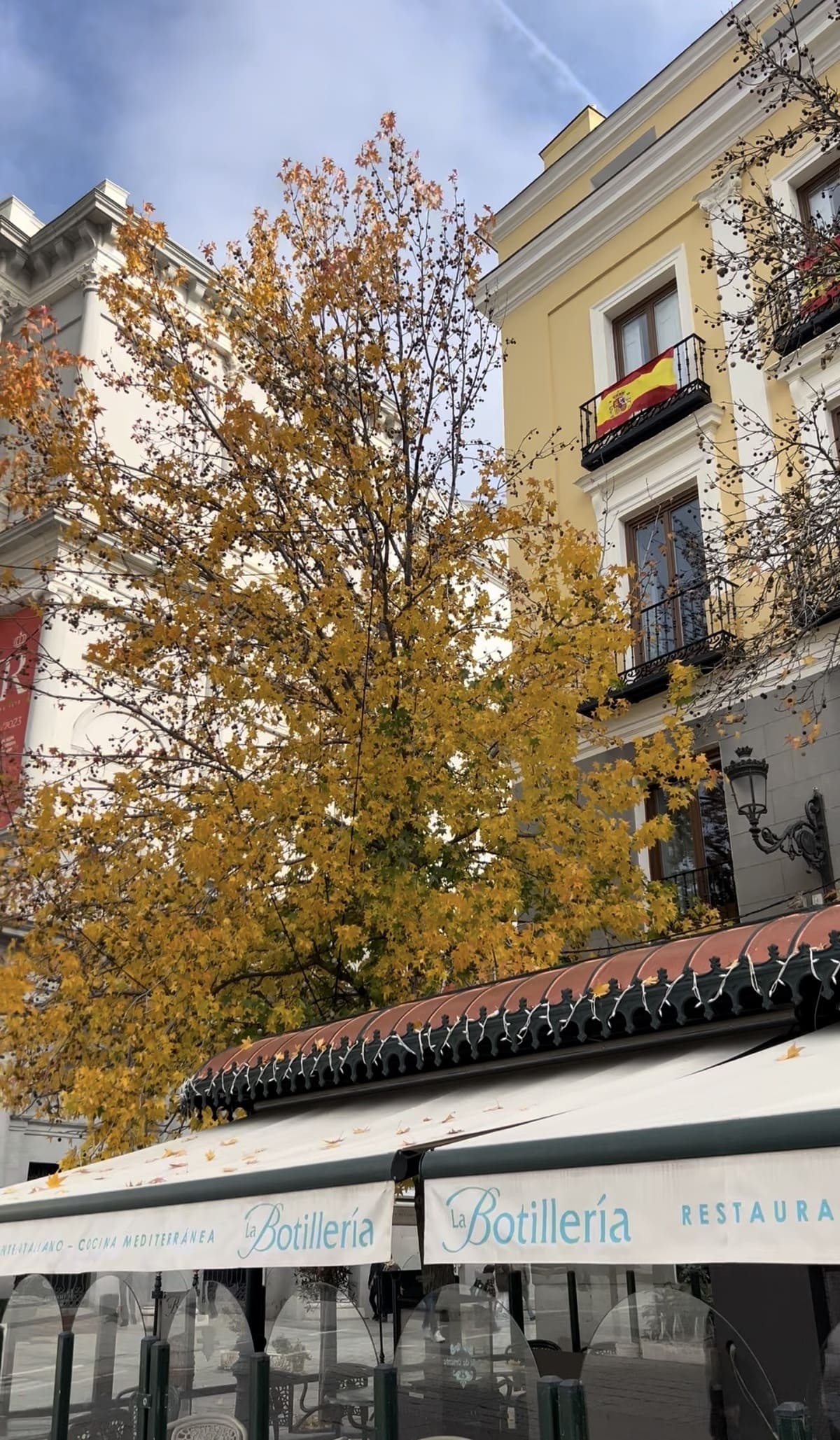 otto-bayt-real-estate-en-nueva-espana-madrid-valor-residencial